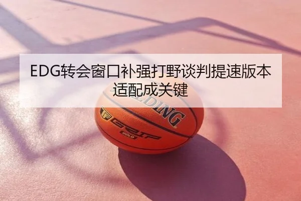 EDG转会窗口补强打野谈判提速版本适配成关键